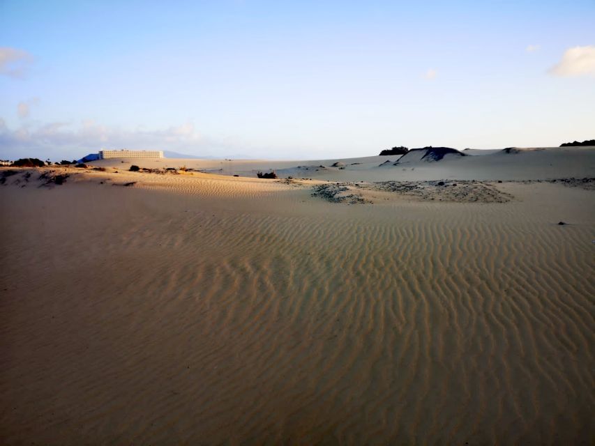 Fuerteventura: Corralejo Sand Dunes for Cruise Passengers - Visitor Feedback