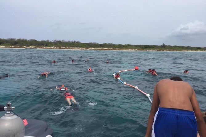 Full-Day at Catalina Island From Santo Domingo With Optional Snorkeling Included - Frequently Asked Questions