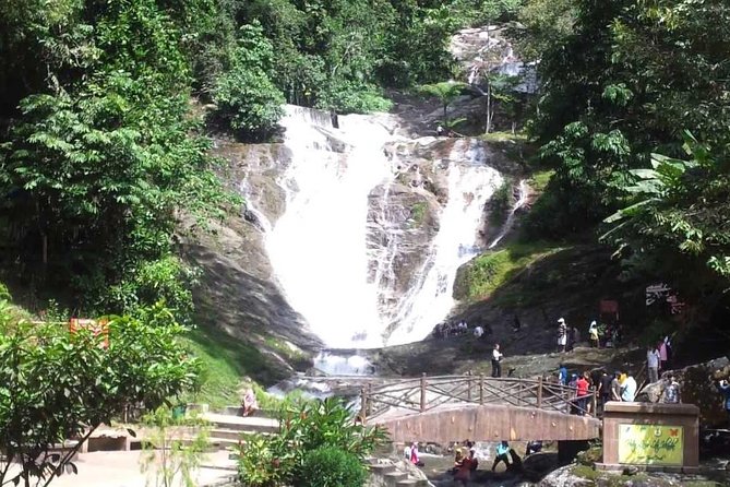 Full-Day Cameron Highlands Day Trip From Kuala Lumpur - Dining Options and Night Market