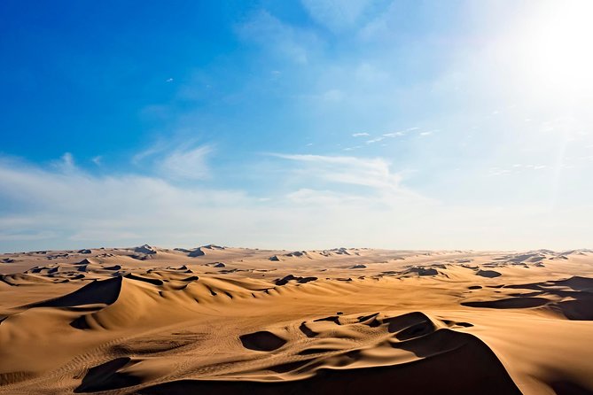 Full Day Group Tour Paracas and Ica From Lima - Traveler Reviews