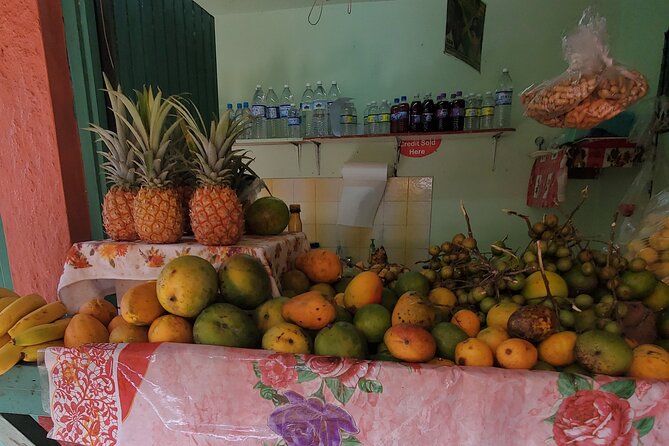 Full-Day Guided Tour to Dunns River Falls & Shopping With Lunch - Meeting Point Selection