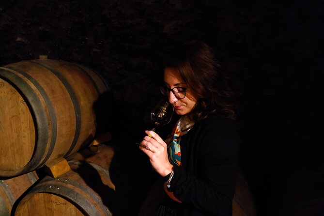 Full Day Guided Wine Tour With Tasting and Lunch - Tour Reviews