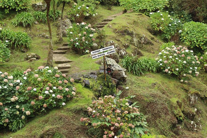 Full-Day Jeep Tour: The Northeast Azores in an Offroad 4x4 - Since You Asked
