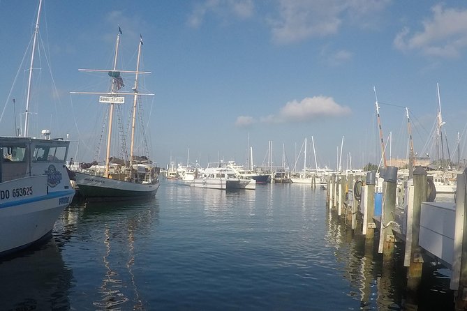 Full-Day Key West Tour and Coral Reef Snorkeling With Open Bar - Participant Feedback and Reviews