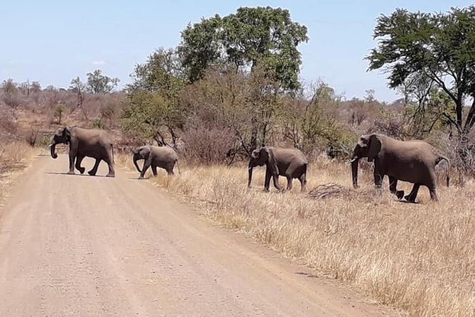 Full-Day Kruger Park Safari From Nelspruit, Whiteriver or Hazyview - Booking Process and Policies