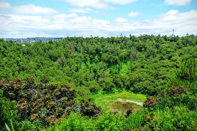 Full-Day Mauritius Volcanic Wonders Tour Including Swimming With Wild Dolphins - Essential Tips for Travelers