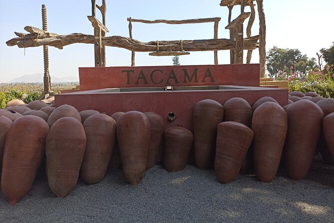 Full Day Paracas, Ica and Huacachina Leaving From Lima - Ica and Surrounding Areas