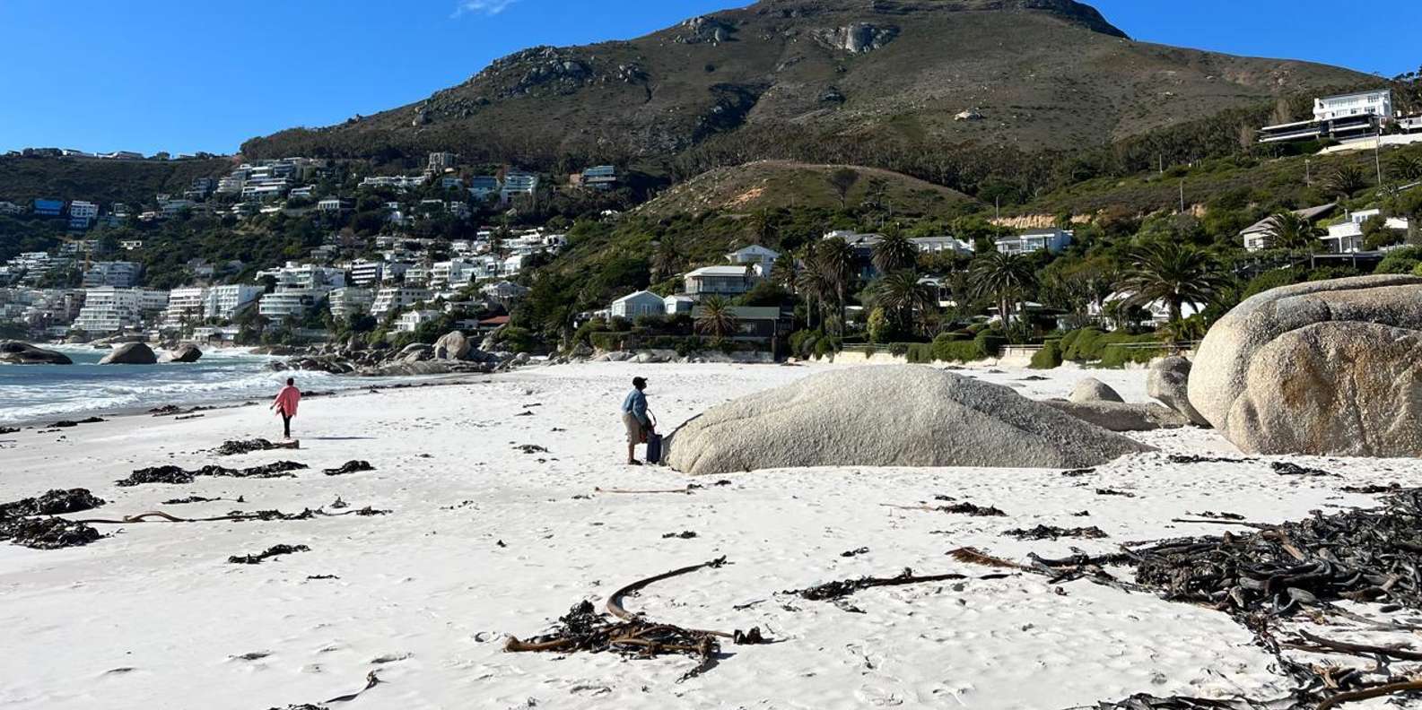 Full-Day Private Cape Town's Most Beautiful Beaches Tour - Booking and Meeting Points