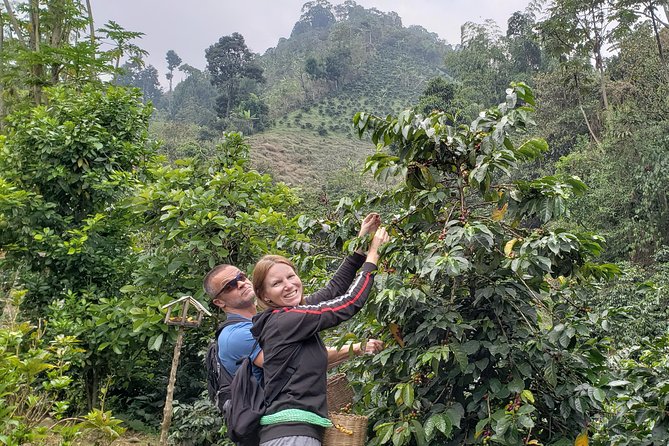 Full-Day Private Guatape Coffee Villa Tour From Medellin - Coffee Villa Visit