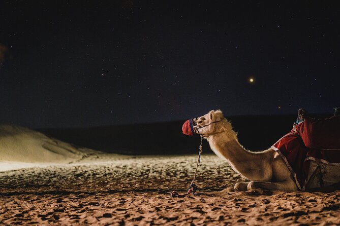Full Day Qatar North and Desert Safari With Pickup - Cultural Exploration