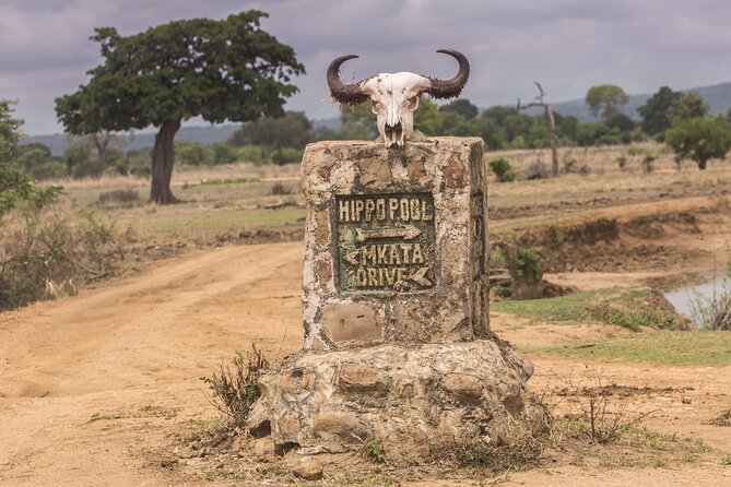 Full-Day Safari Tour From Mikumi National Park of Zanzibar - Tips for a Great Experience