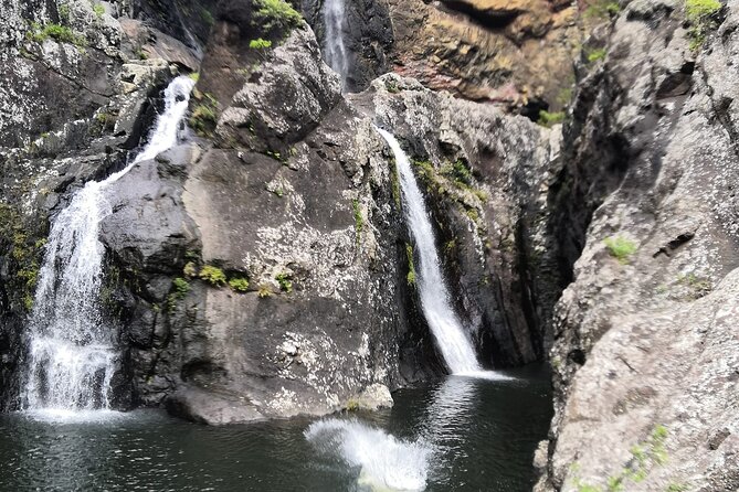 Full Day SCENIC Private Guided SOUTH WEST of Mauritius - The Ebony Forest Safari