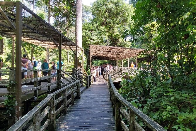 Full-Day Sepilok Orangutan and Proboscis Monkey From Sandakan or Kota Kinabalu - Customer Reviews