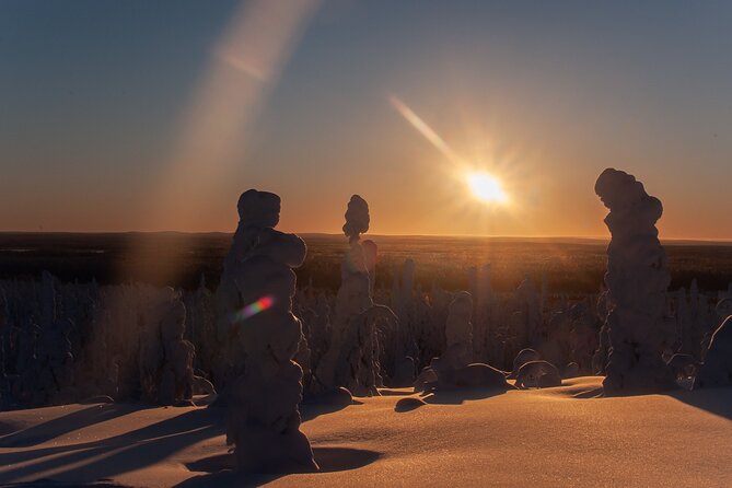 Full-Day Snowshoeing Adventure in Amethyst Mine Pyhä Luosto - Meeting Point and Pickup