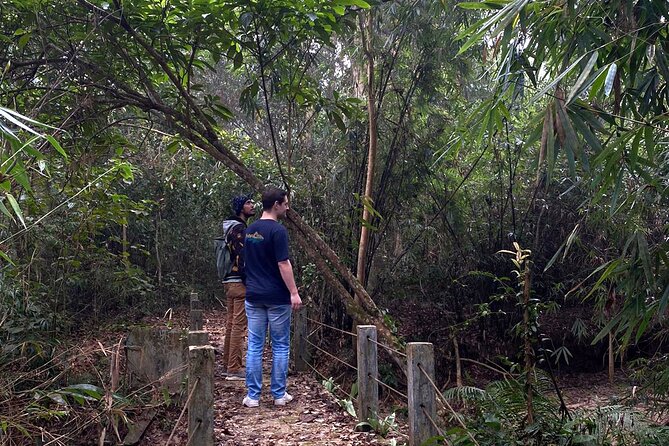Full Day Sreemangal Tea Garden & National Park Hiking Tour - Inclusions and Amenities