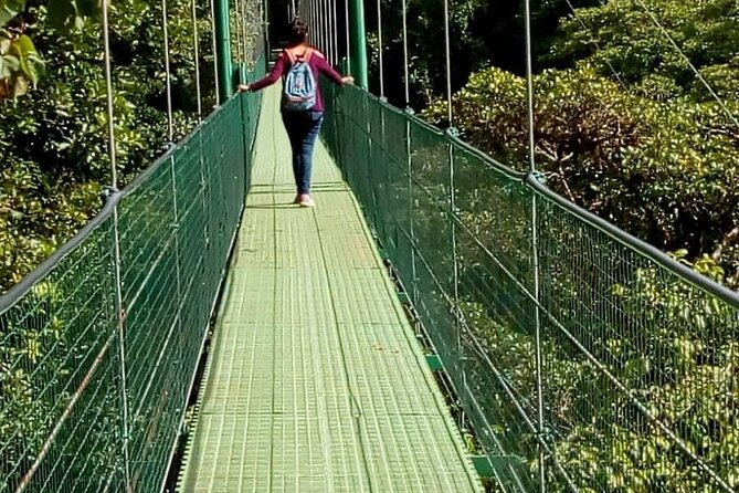 Full Day to Monteverde From San Jose With Canopy and Reptil Amphibians Watching - Exploring Monteverdes Biodiversity