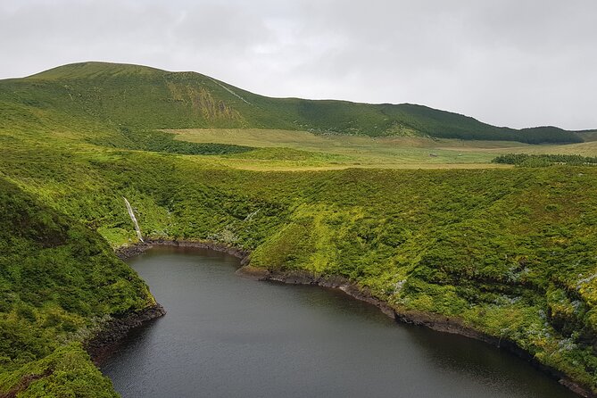 Full Day Tour of the Green Wonders of Flores Island - Exploring Endemic Species