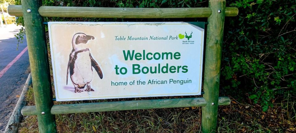 Full-Day Tour to Cape of Good Hope & Penguins From Cape Town - Marine Life, Scenic Views, and Wildlife