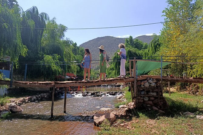 Full Day Tour to Ourika Valley Berber Village and Atlas Mountain - Customer Reviews Breakdown