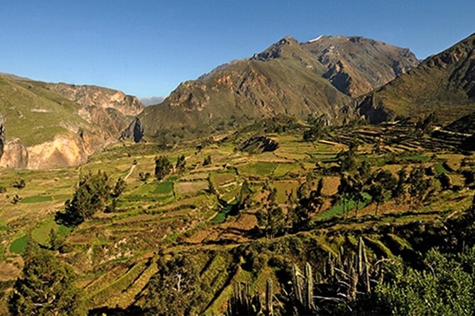 Full Day Tour to the Colca Canyon - Itinerary