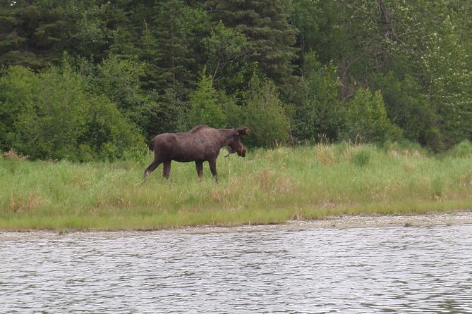 Full-Day Upper Kenai River Guided Fishing Trip - Fishing Techniques Offered
