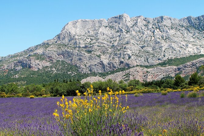 Full-Day Wine and Cheese Tour Around Aix-En-Provence From Marseille - Summary of Reviews