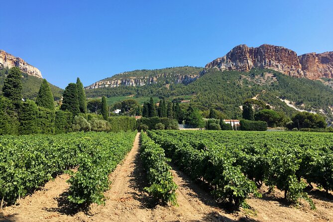 Full-Day Wine Tour Around Bandol & Cassis From Marseille - Convenient Round-Trip Transport