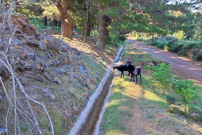 Gastro Hike (Private Tour) - Pricing and Inclusions