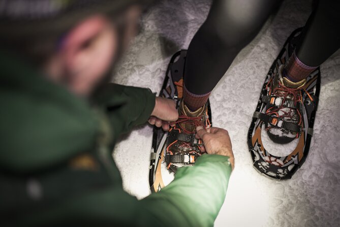 Gatineau Park Nocturnal Snowshoeing Adventure & Dinner - From Ottawa & Gatineau - Accessibility and Fitness Considerations