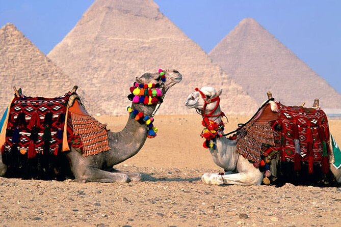 Giza Pyramids, Sphinx, Memphis, Saqqara, With Private Tour Guide - Traveler Reviews and Experiences