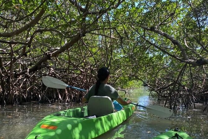 Glass Bottom Kayak Mangrove & Sandbar Adventure in St. Pete Beach - Booking Information and Policies