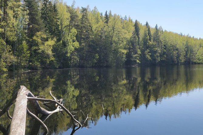 Go North – Private 1 Day Trip to Estonian Nature - Learning Estonian Culture