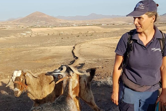 Goat Trekking Fuerteventura - Operating Hours and Dates