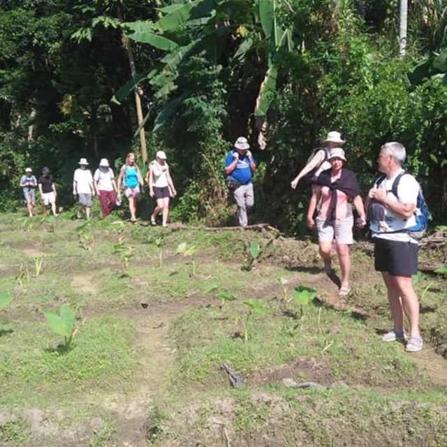 Godakawela Village Tour With Traditional 4 Causes Lunch - Pickup and Drop-off Locations