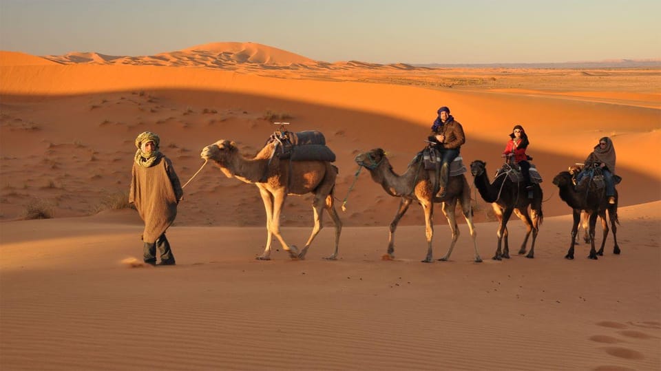 Golden City Of Rajasthan, Jaisalmer Desert Tour (02 Days) - Pricing and Booking