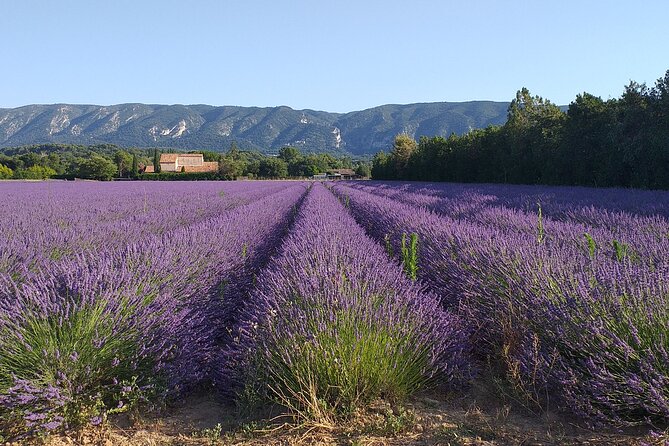 Gordes, Roussillon(+ Ochre Trail) & Fontaine De Vaucluse - Convenient Transportation and Pickup Options