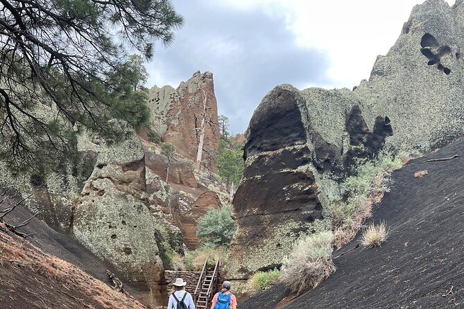 Grand Canyon Tour – Custom Guided Hike - Guest Feedback and Ratings