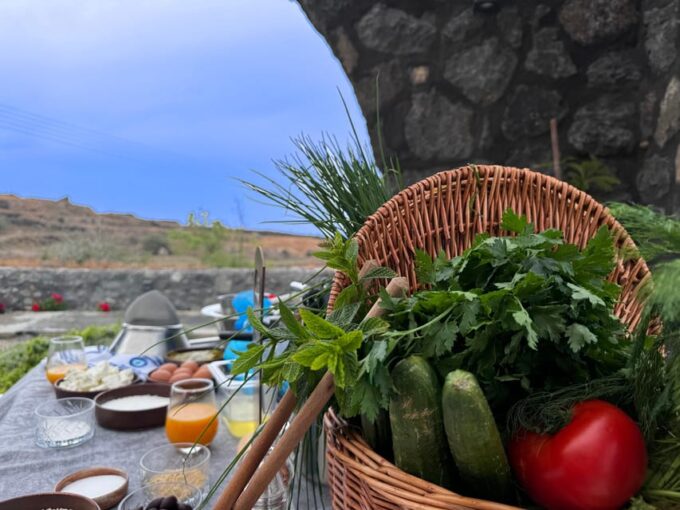 Greek Cooking Class and Dining Experience - Important Considerations