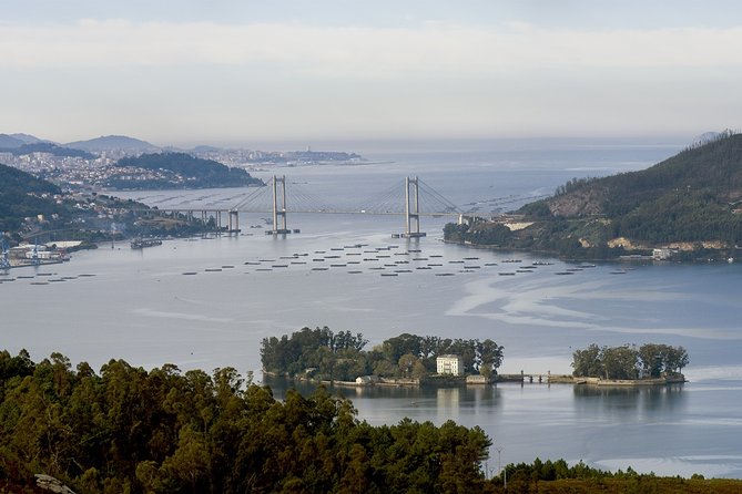 GROUP Walking Tour in Vigo - Local Cuisine Recommendations