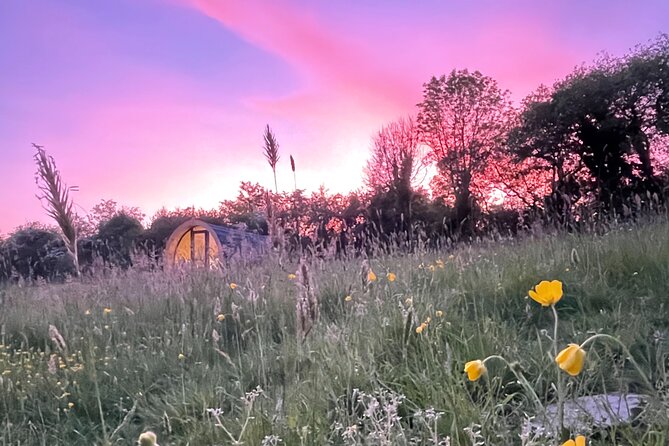 Guided Bike Ride: Exploring the Limerick Greenway - Ask Away