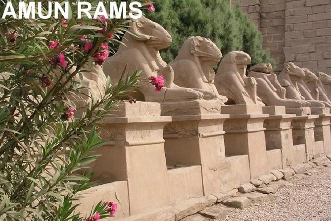 Guided Half-Day Tour of Nile East Bank From Luxor by Air-Conditioned Vehicle - Pricing and Availability