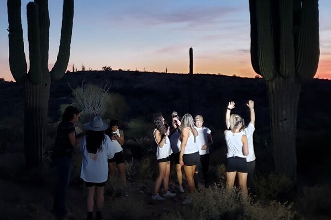Guided Sunset U-Drive UTV Sand Buggy Tour Scottsdale - Meeting Points and Accessibility