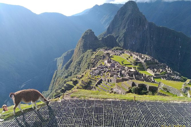 Guided Tour of Machupicchu: Private and Flexible 3 Hours - Personalized Itinerary