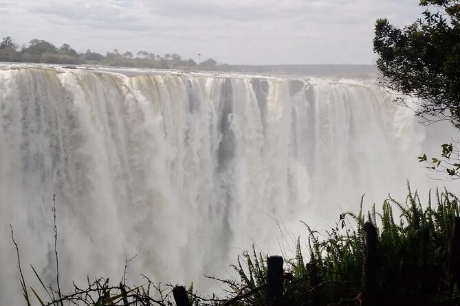 Guided Tour of the Falls - Tips for a Great Experience