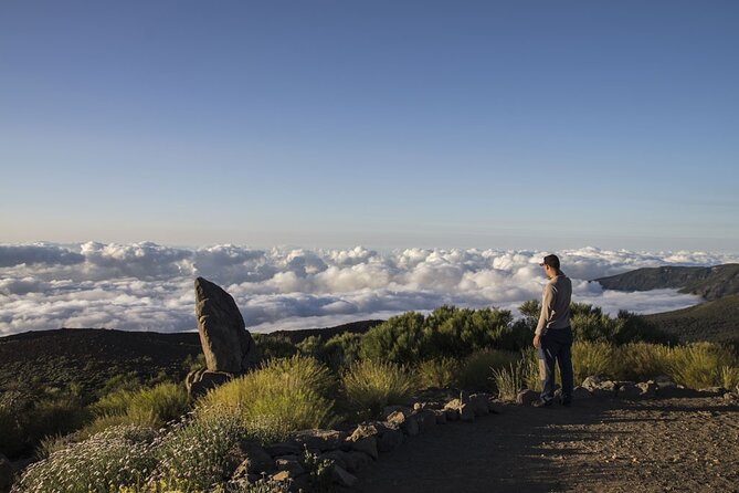 Guided Tour to Teide National Park in Tenerife - Planning Your Visit