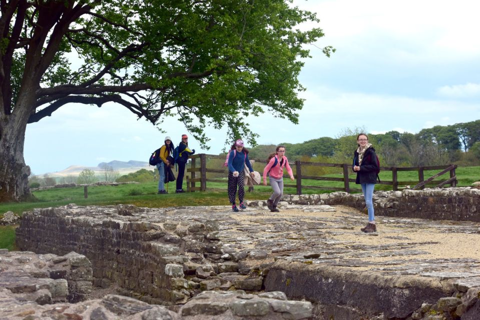 Hadrians Wall: Birdoswald Roman Fort Entry Ticket - Accessibility and Parking