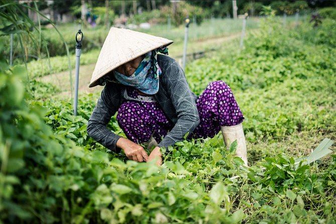 Half Day Cooking Class At Tra Que Vegetable Village Hoi An - Why Choose This Cooking Class