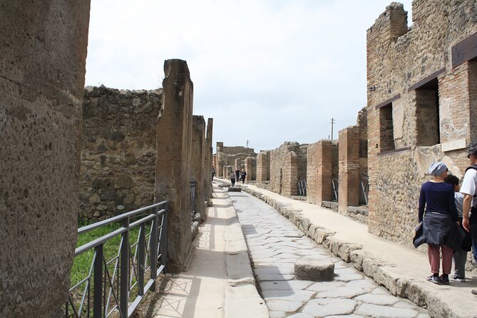 Half-Day Exclusive Private Tour of Pompeii and Herculaneum - Guided Exploration of Ancient Sites