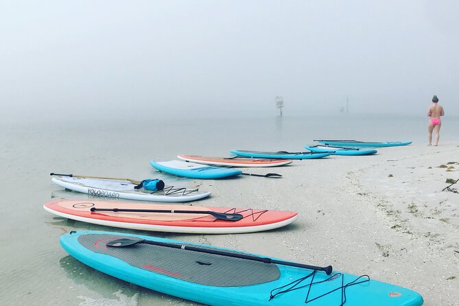 Half Day Excursion to Johns Pass Sandbar & Mangrove Tunnel - Facility Amenities