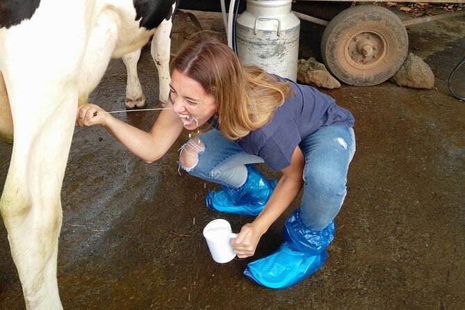Half-Day Farm Visit and Cow Milking Experience - Getting to the Meeting Point